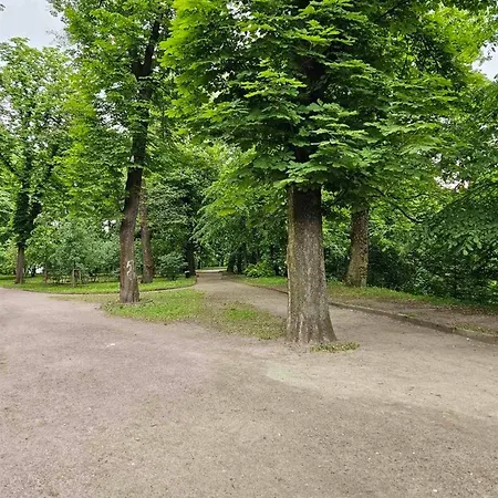 فندق Lion Hill *