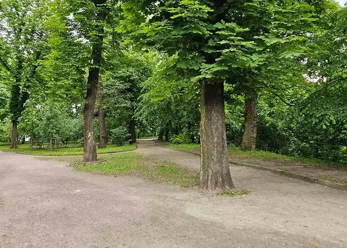 Szálloda Lion Hill *